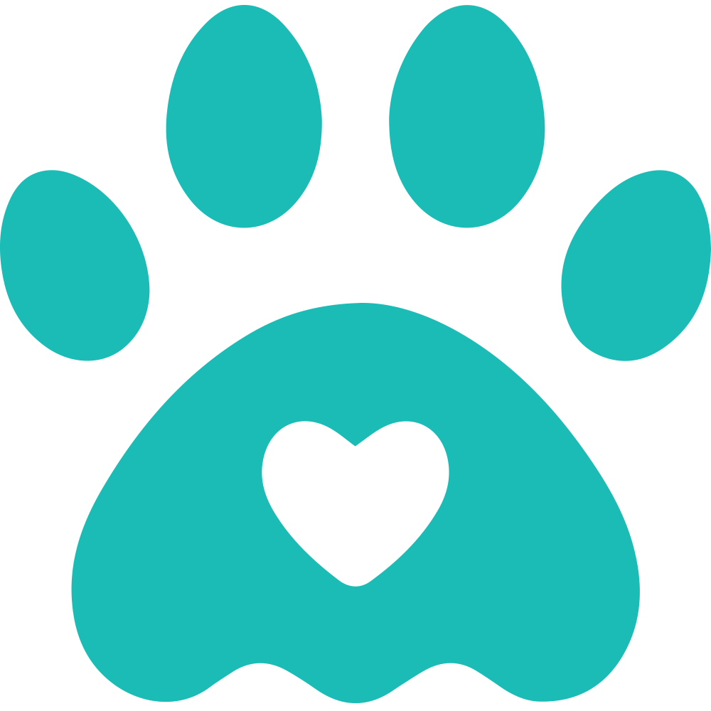 Alicy Pets